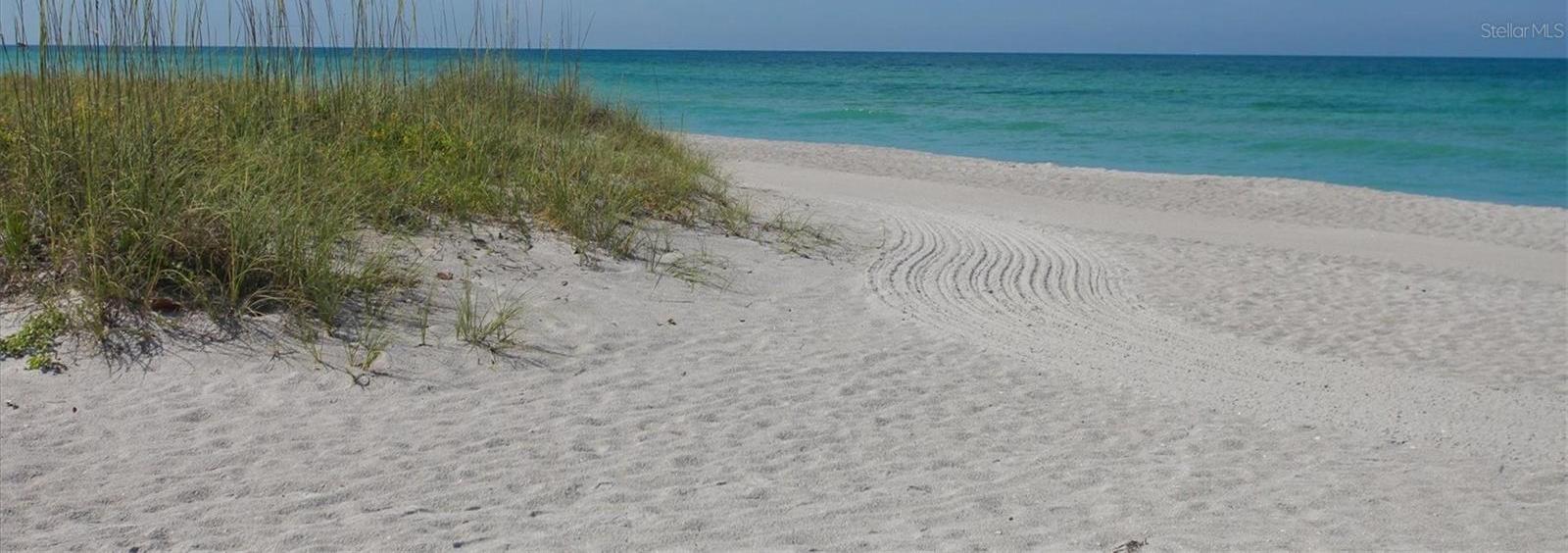 Photo #38