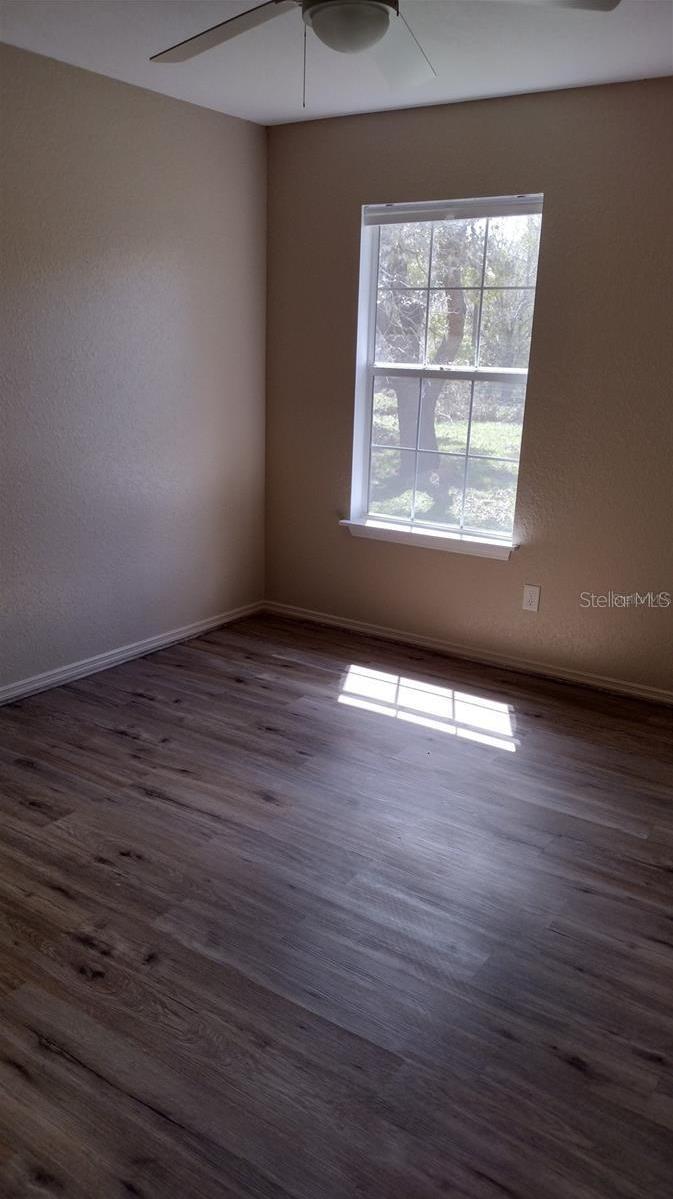 Photo #11