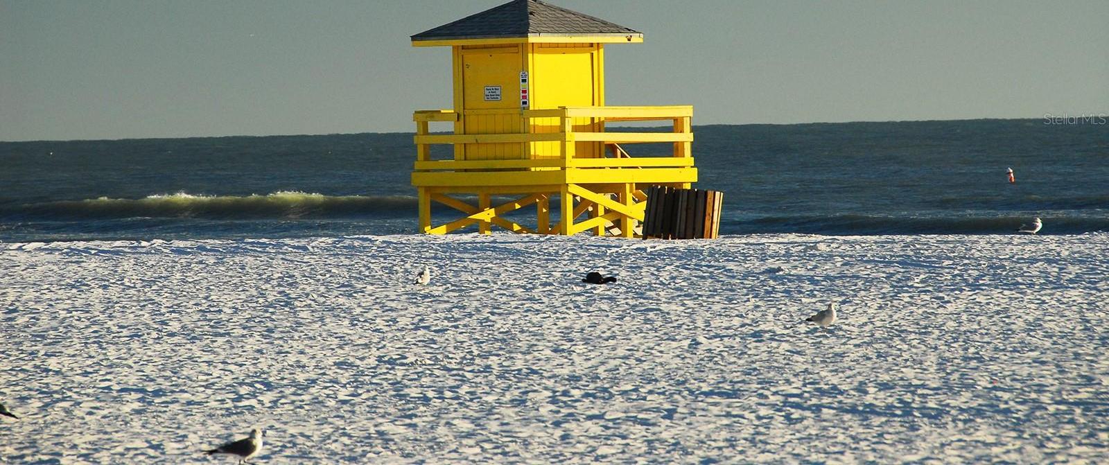 Photo #39