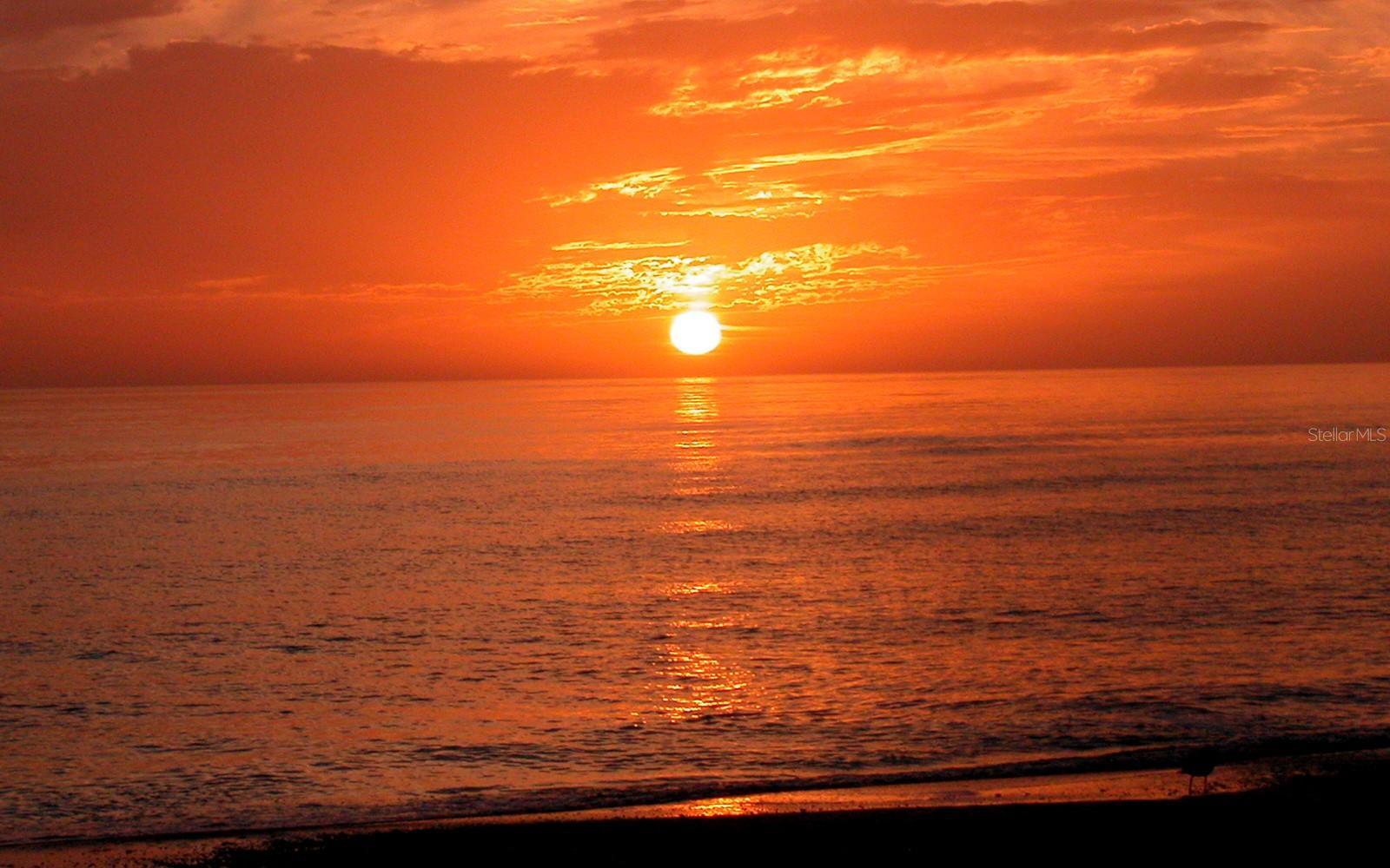 Photo #42