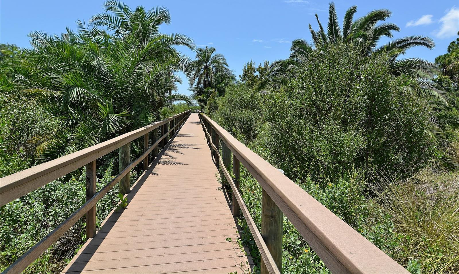 Photo #35