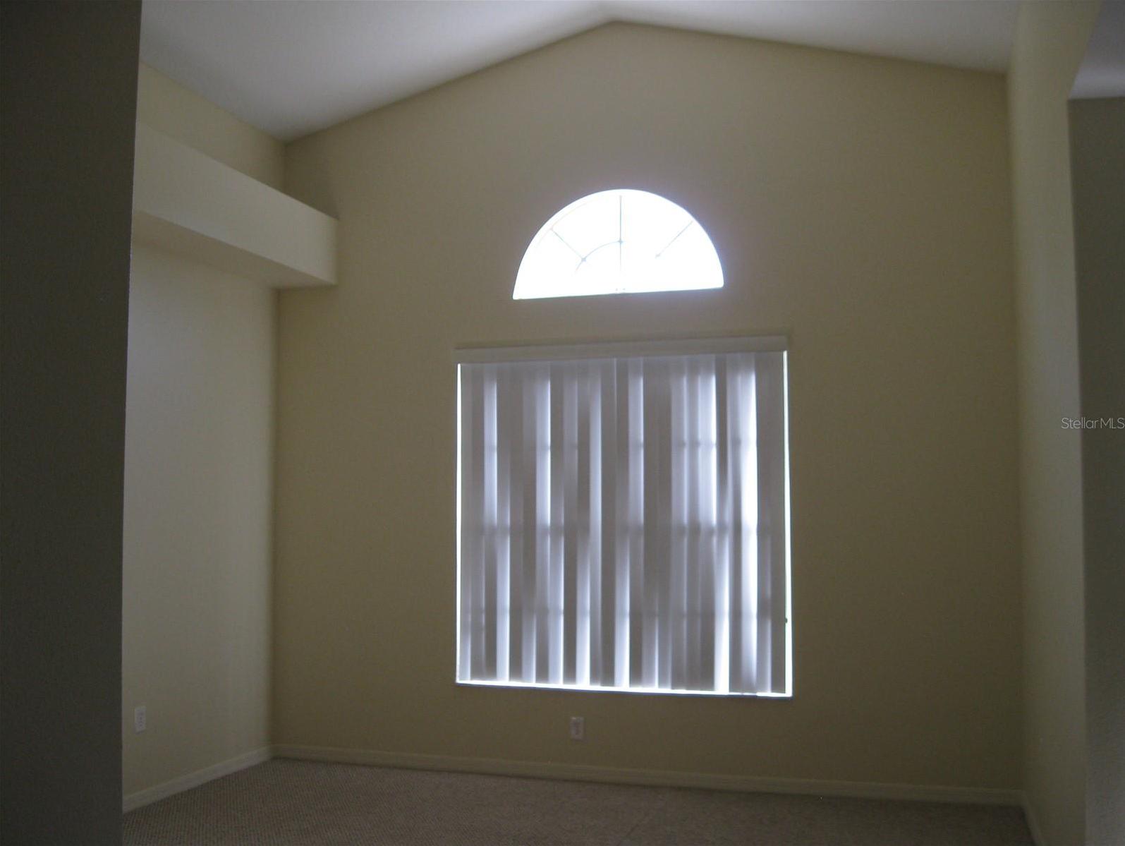 Photo #8