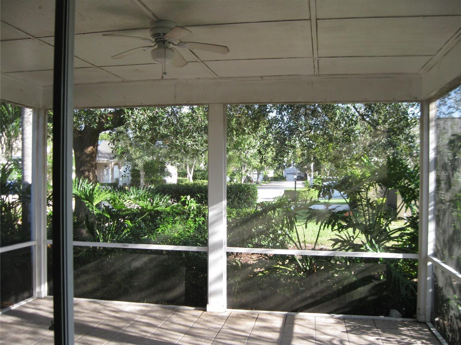 Photo #22