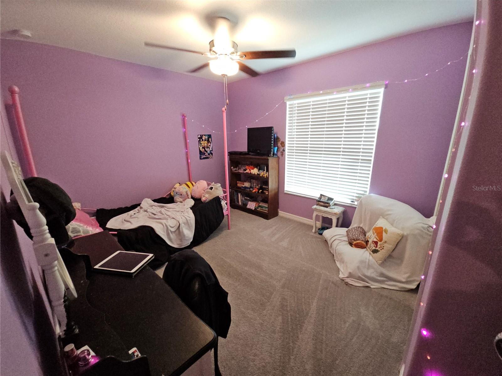 Photo #26
