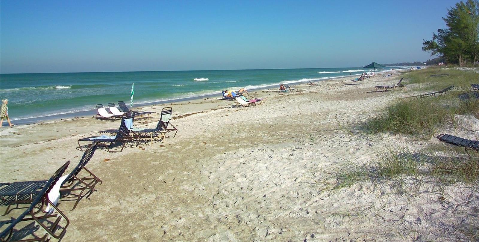 Photo #28