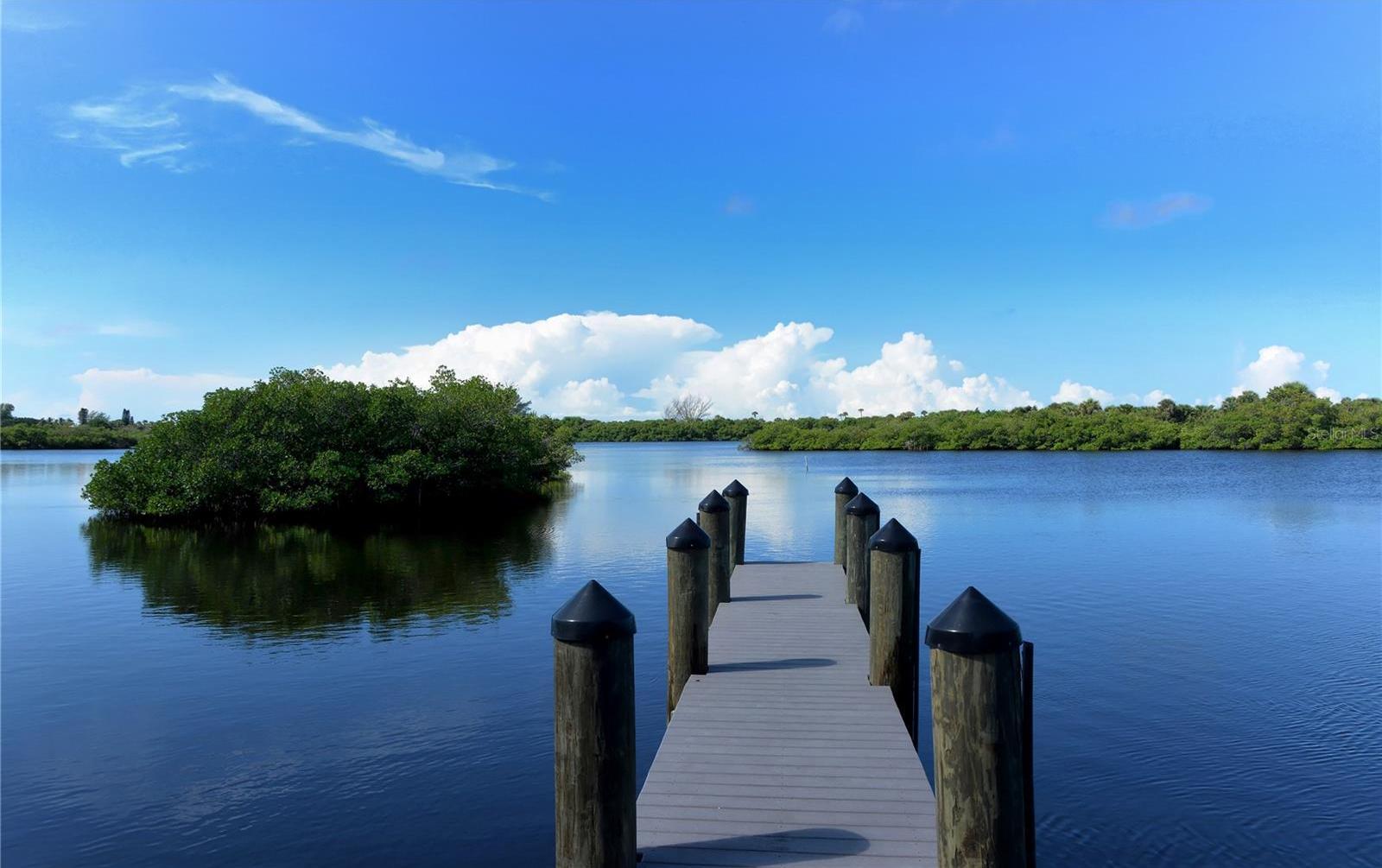 Photo #37