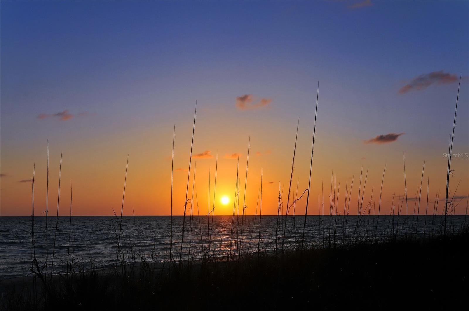 Photo #42