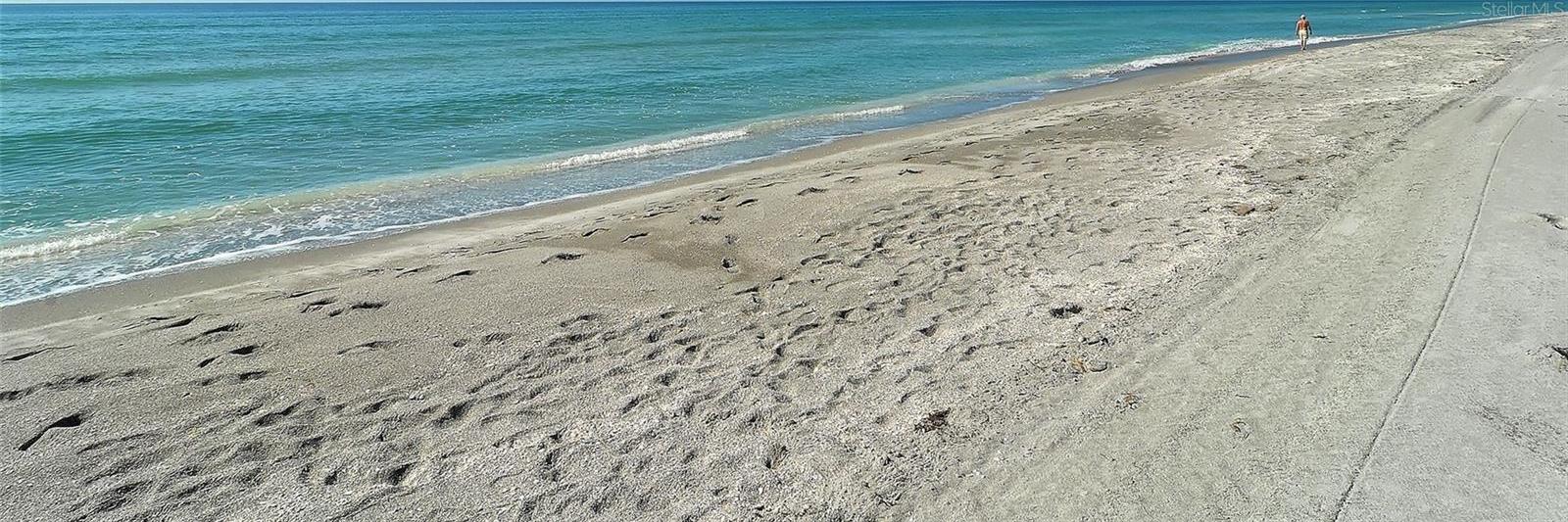 Photo #39