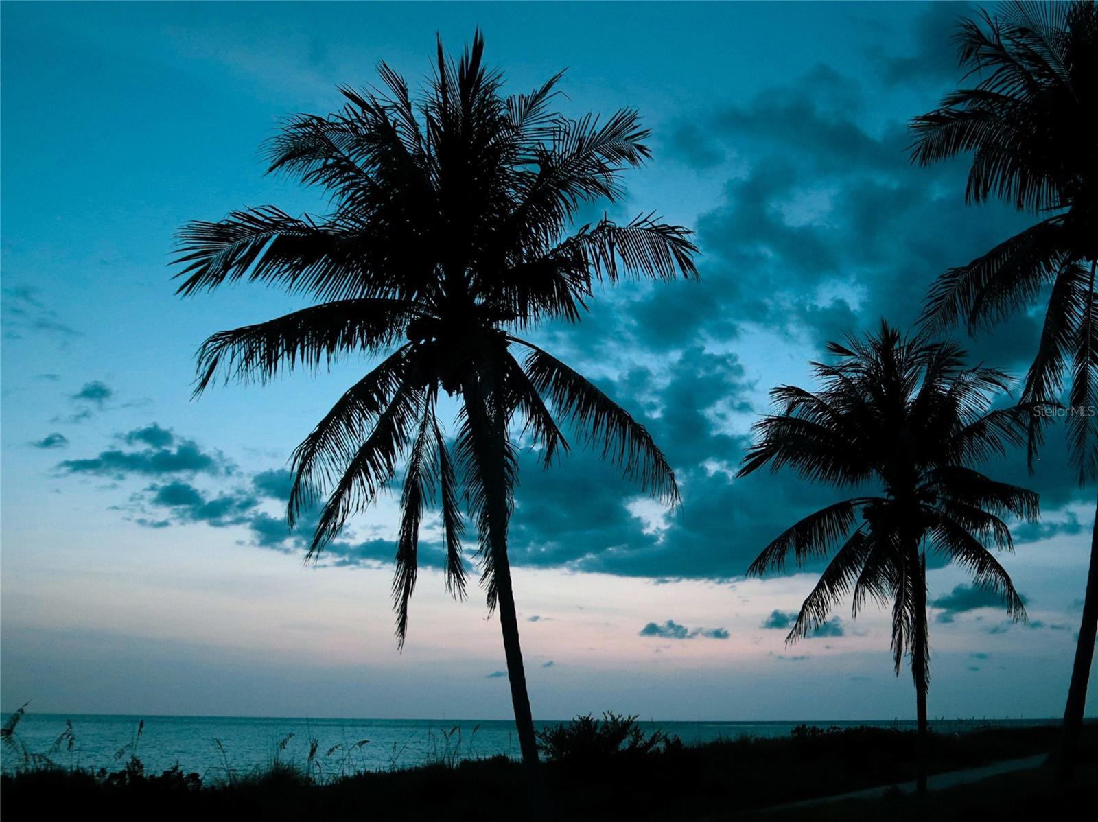 Photo #78