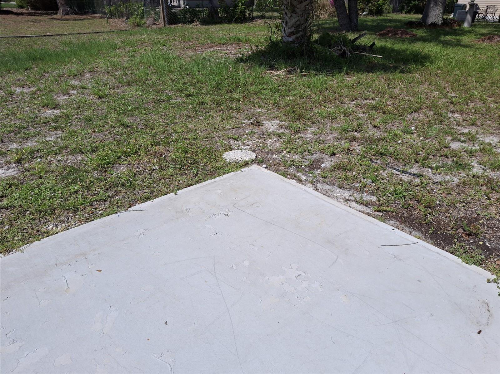 Photo #11