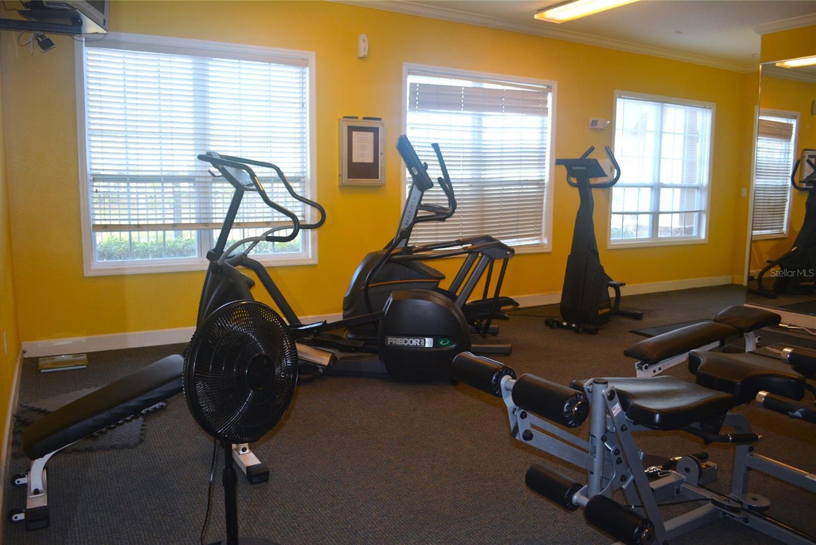 Photo #49