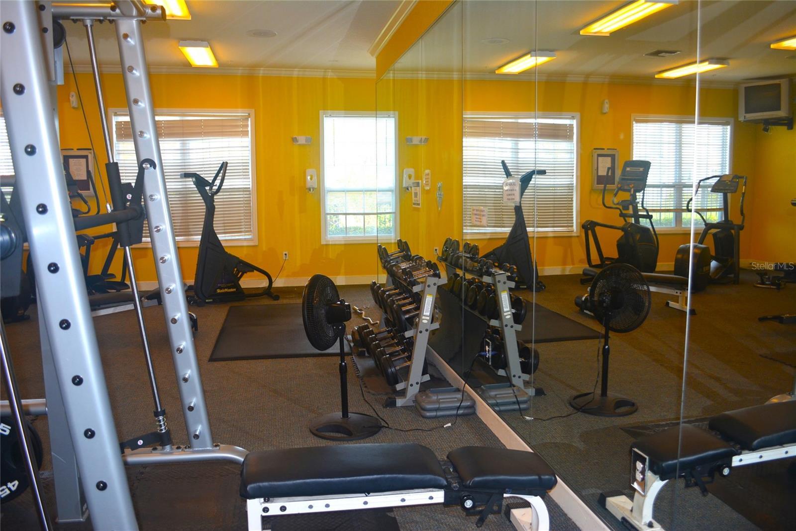Photo #48