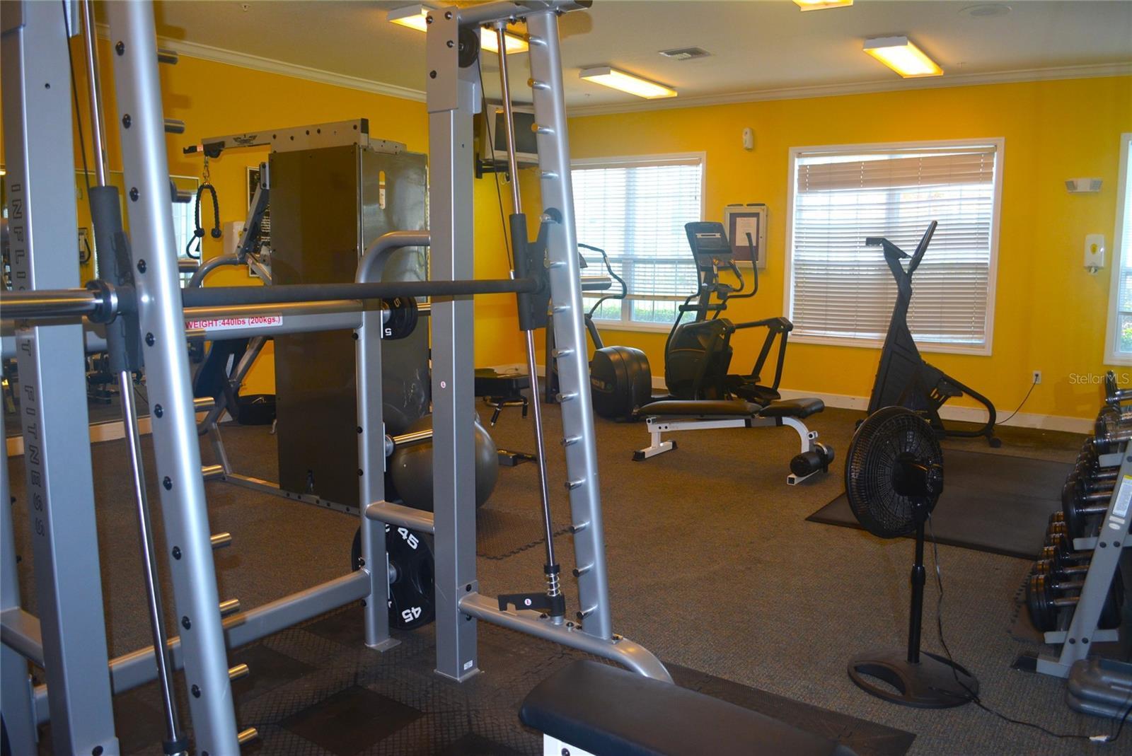 Photo #50
