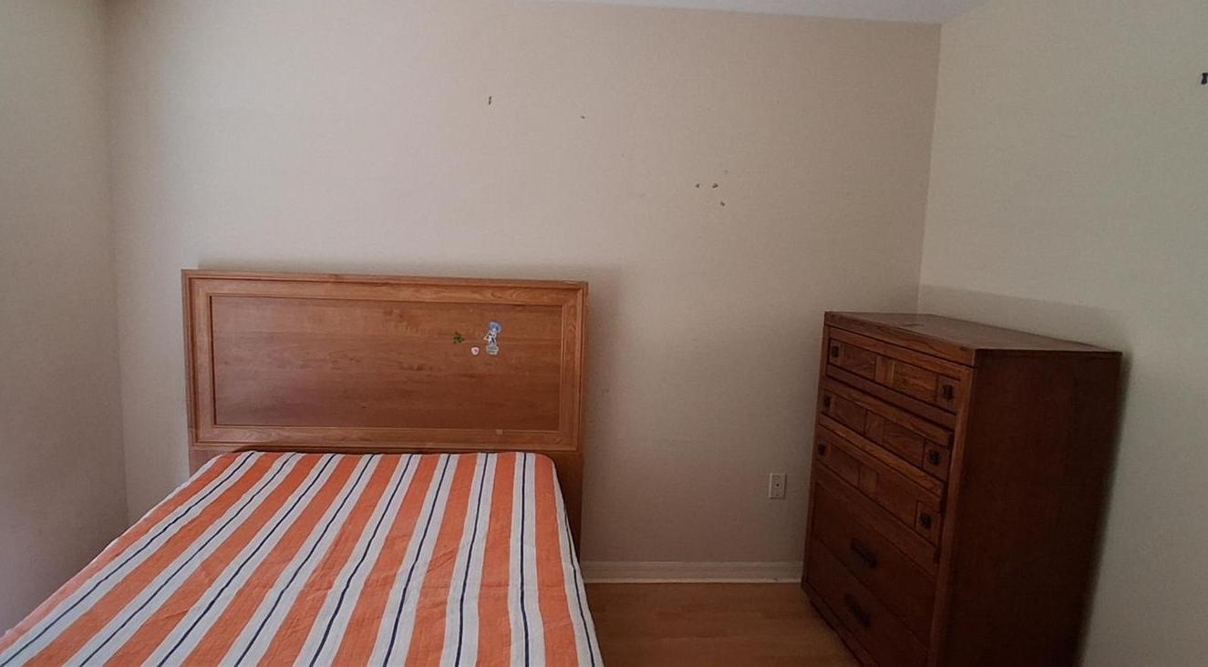 Photo #24