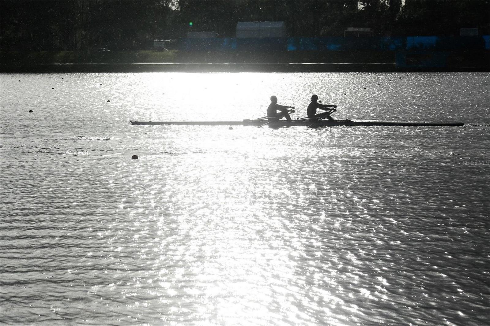 Photo #64