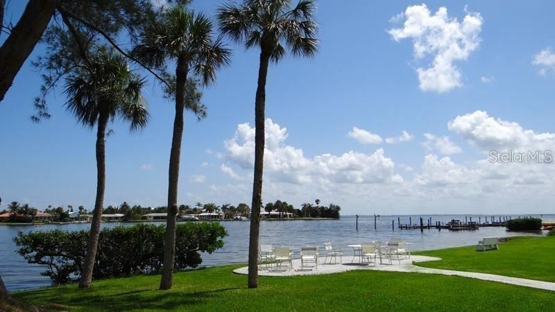 Photo #15