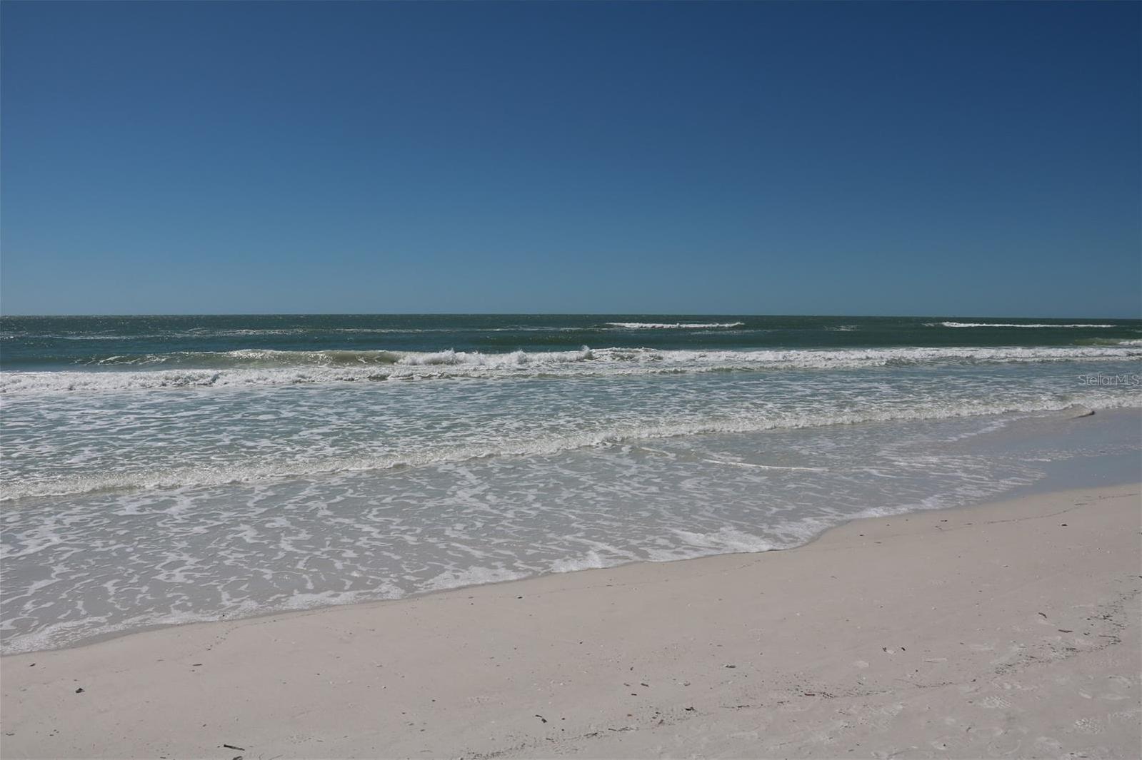 Photo #51