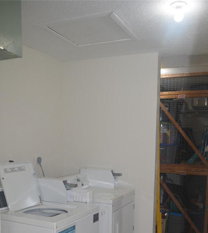 Photo #48