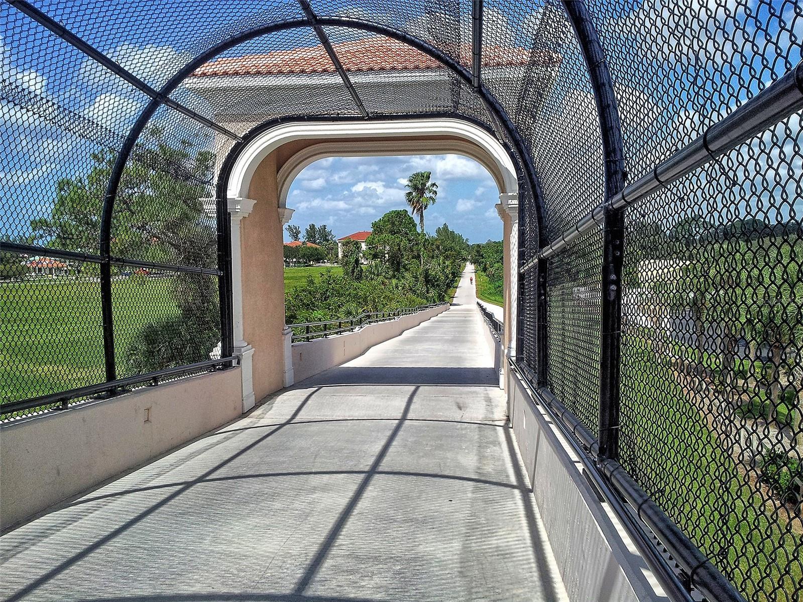 Photo #46