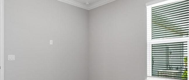 Photo #17