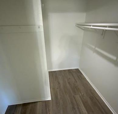 Photo #12