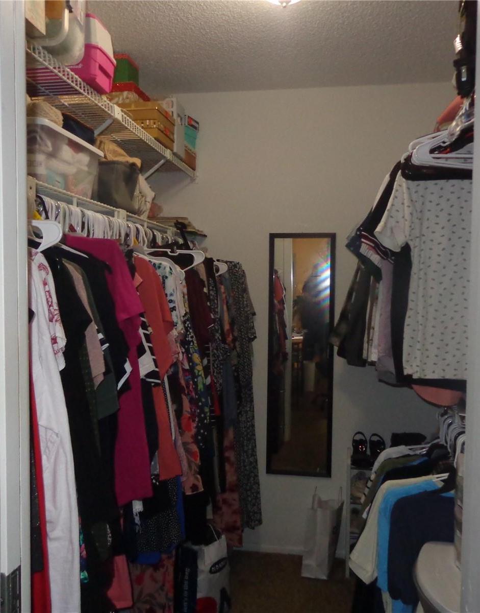 Photo #19