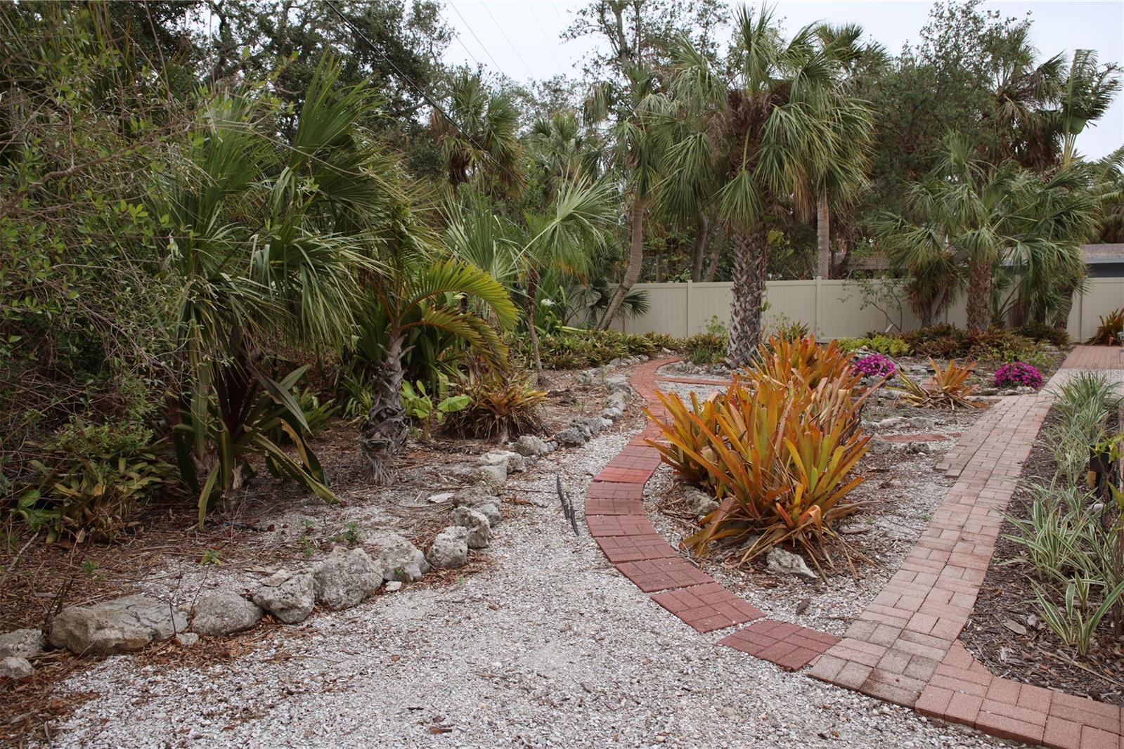 Photo #41