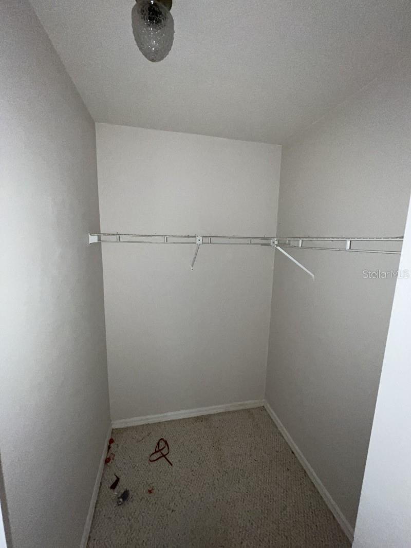 Photo #21