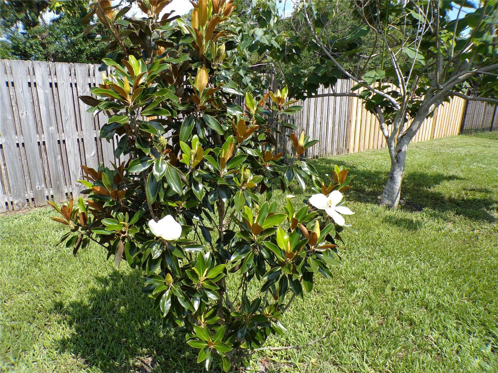 Photo #30