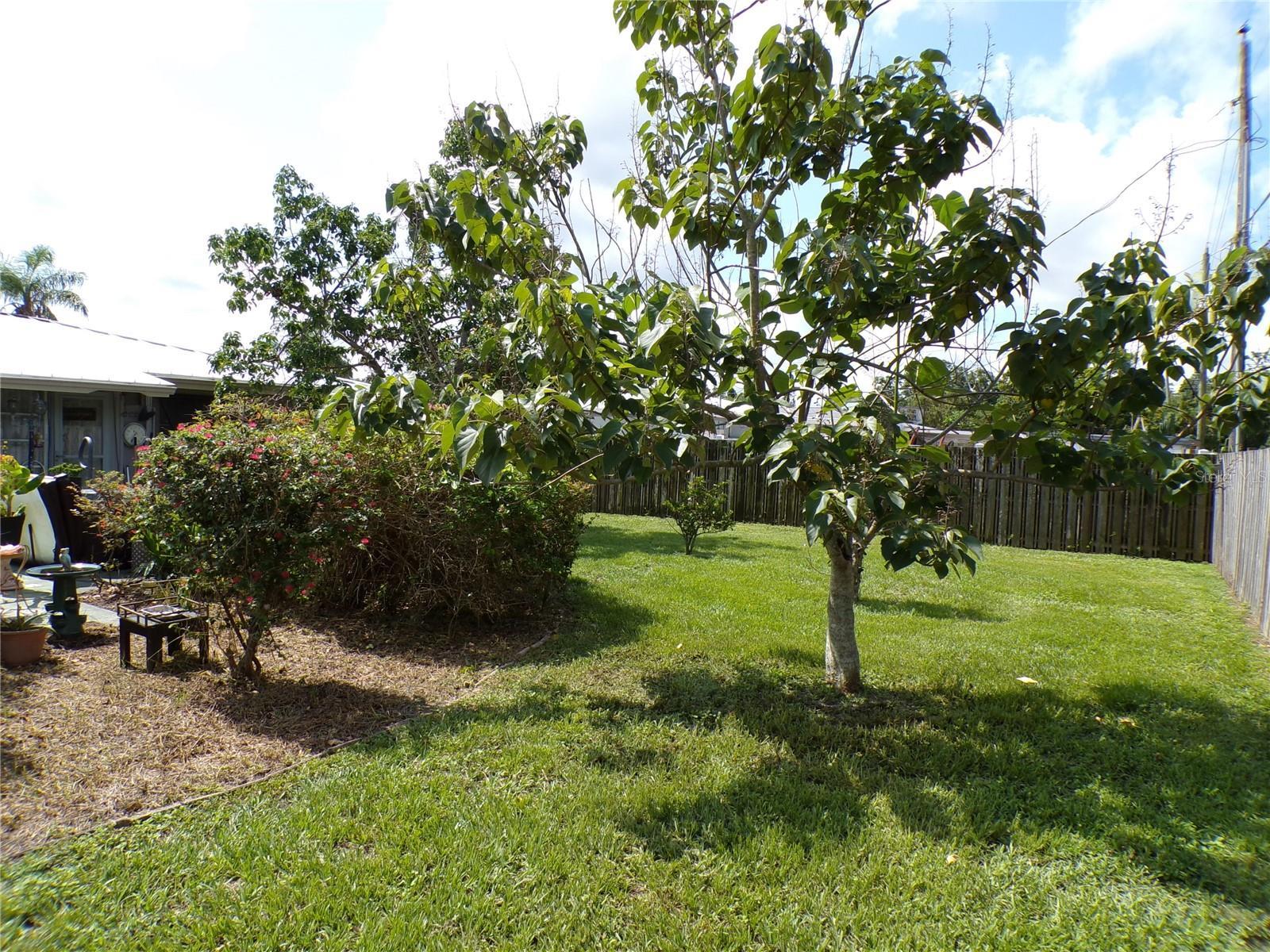 Photo #31