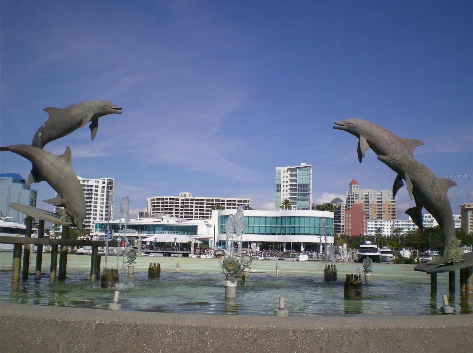 Photo #38
