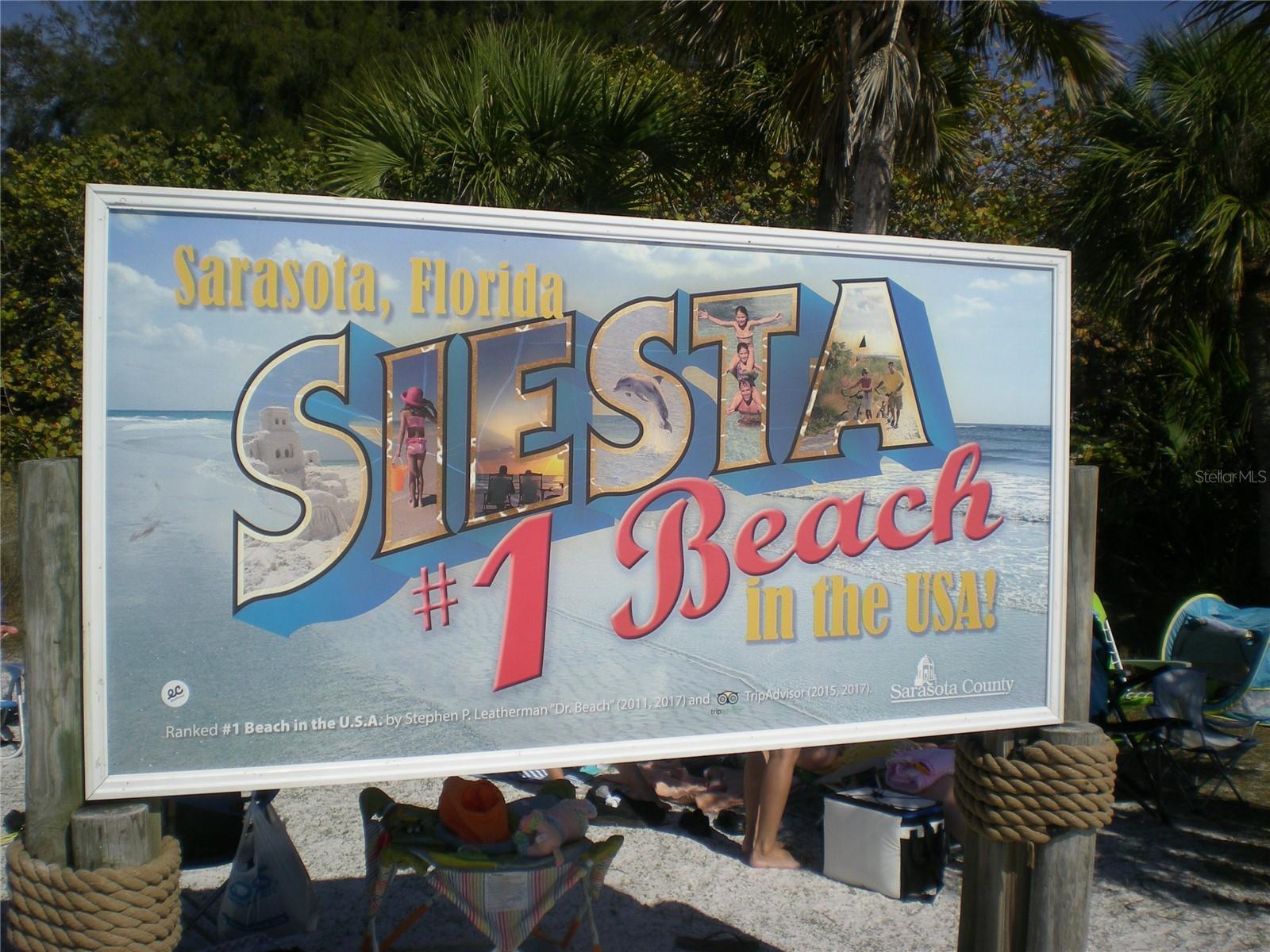Photo #32