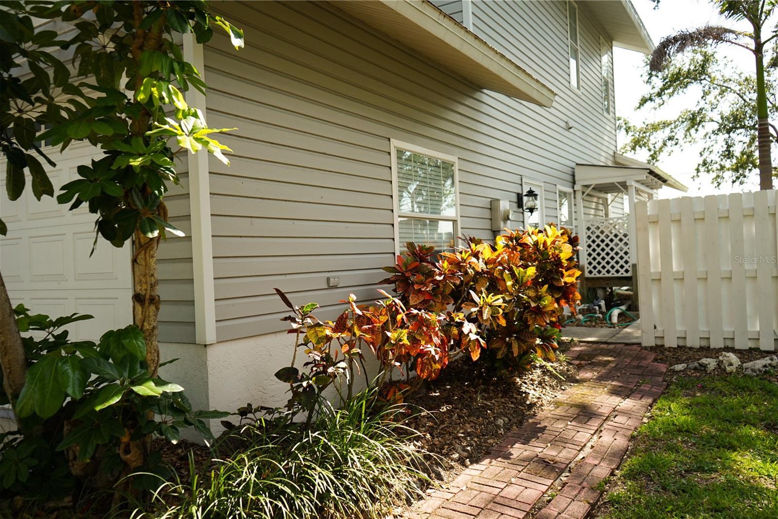Photo #10