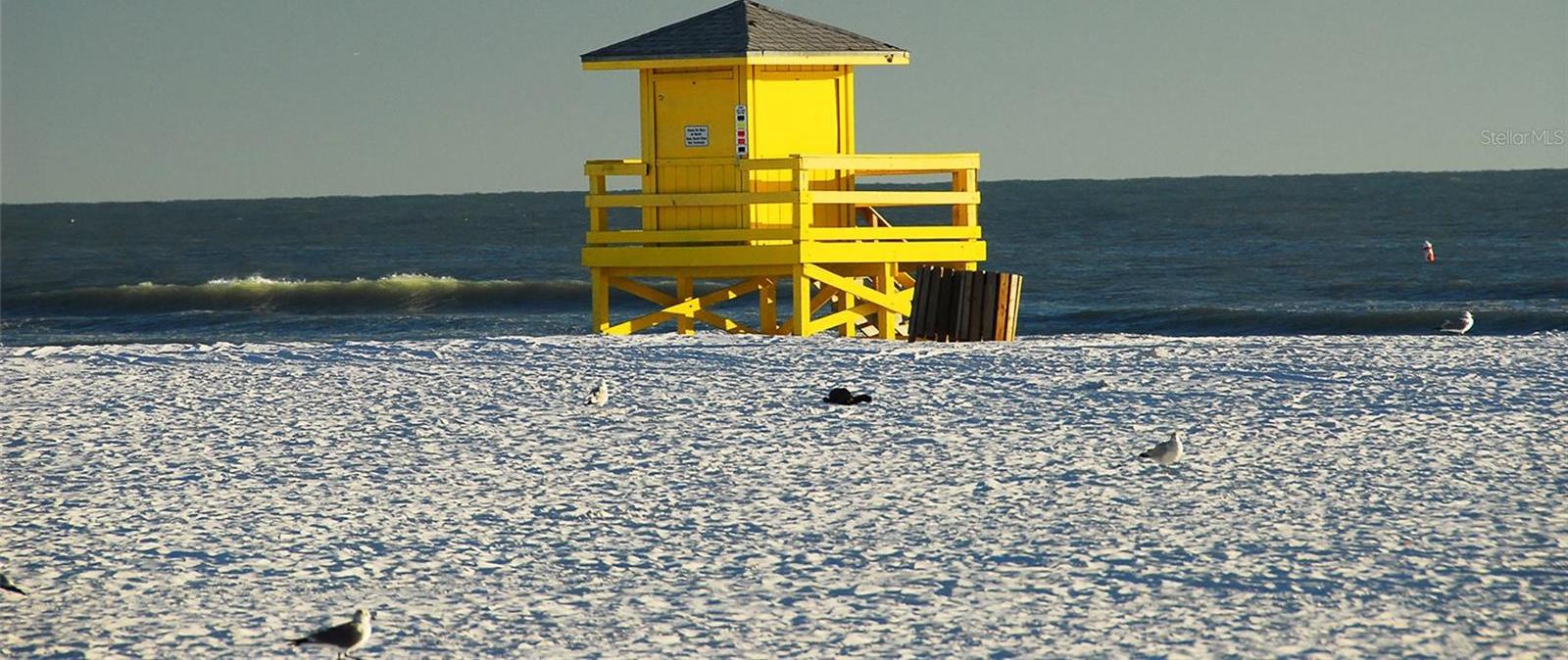 Photo #42