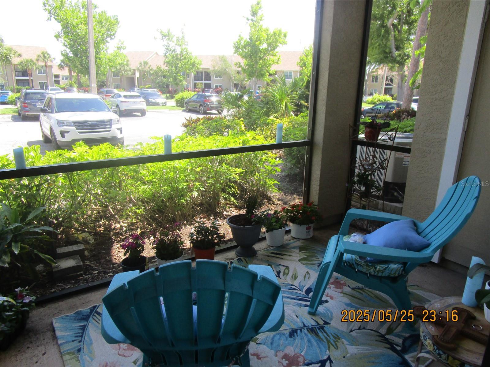 Photo #7
