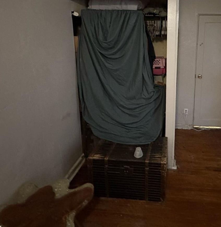 Photo #21