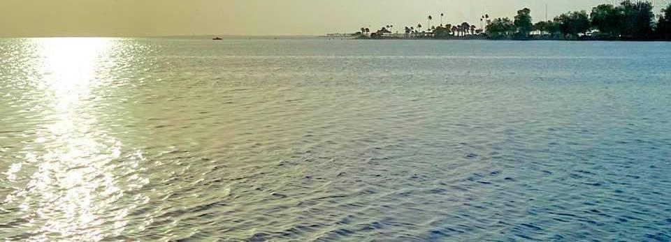 Photo #56