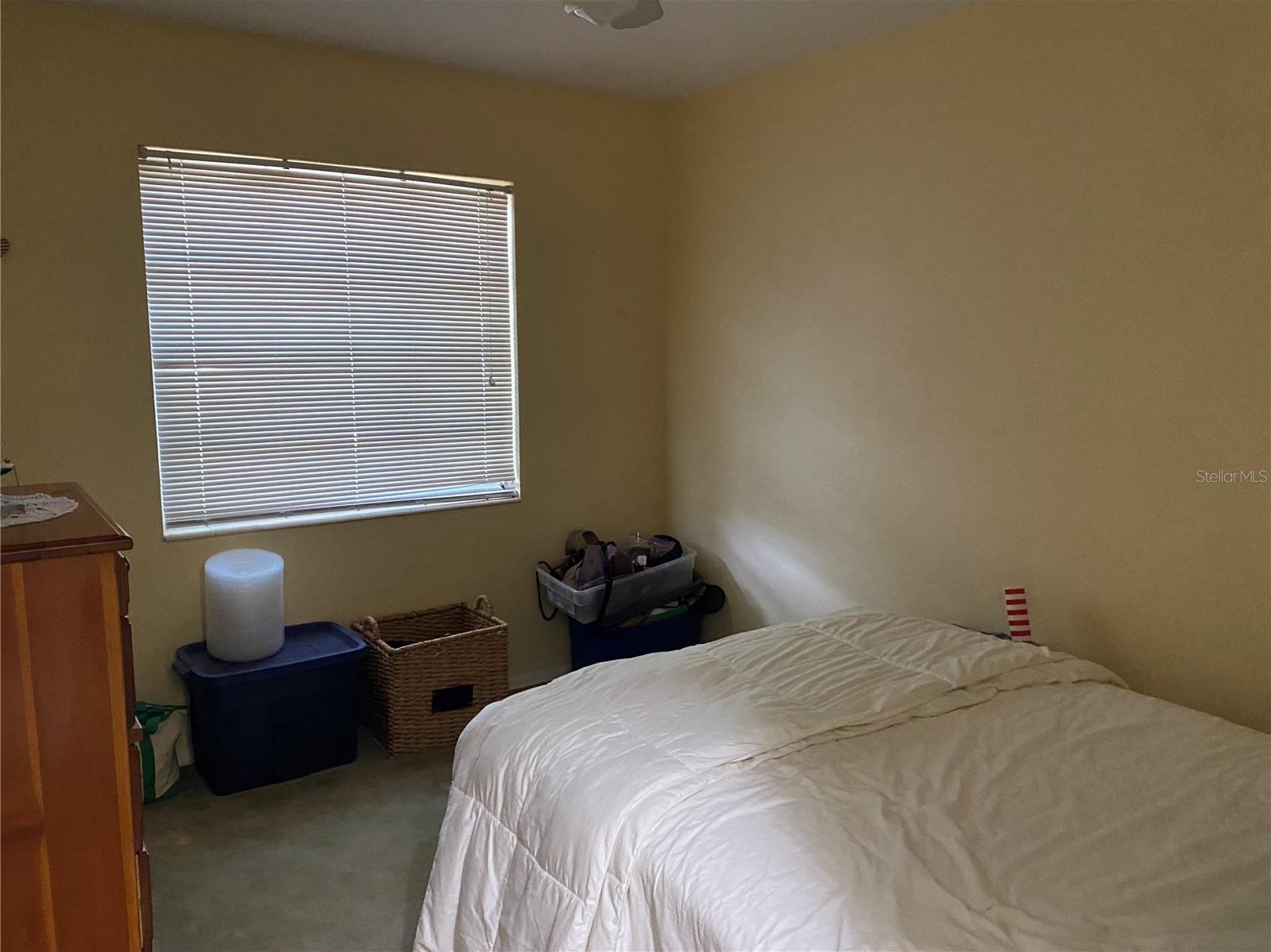 Photo #15