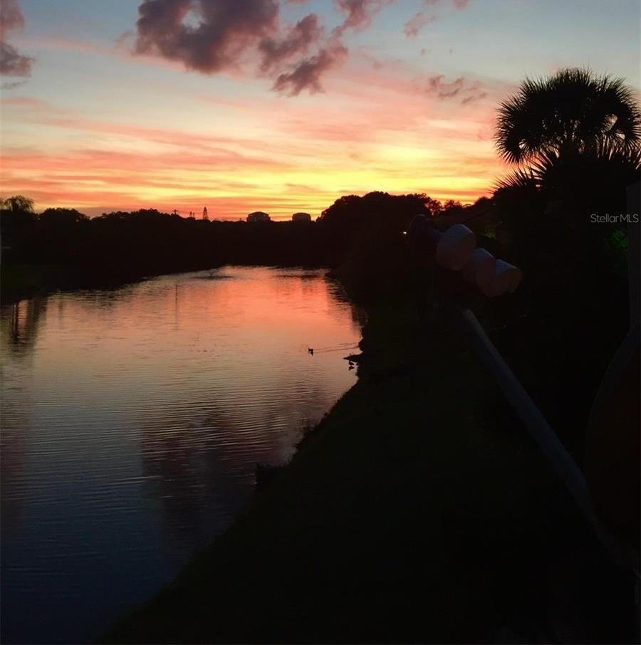 Photo #15