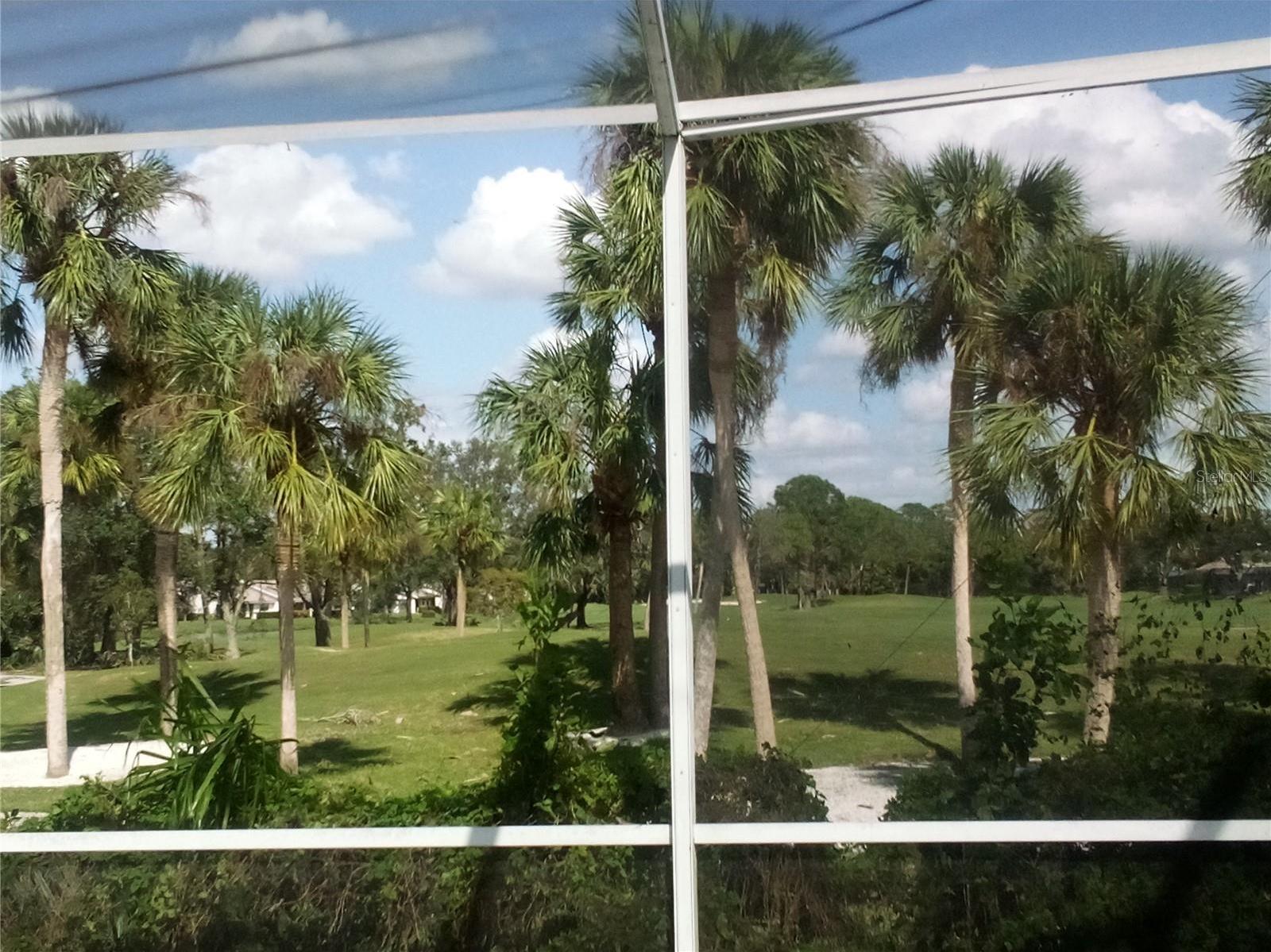 Photo #24