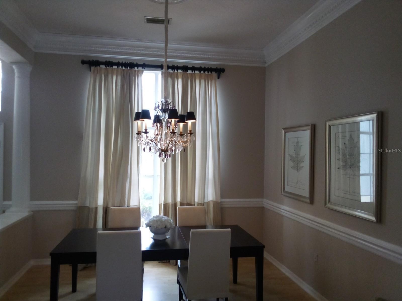 Photo #6