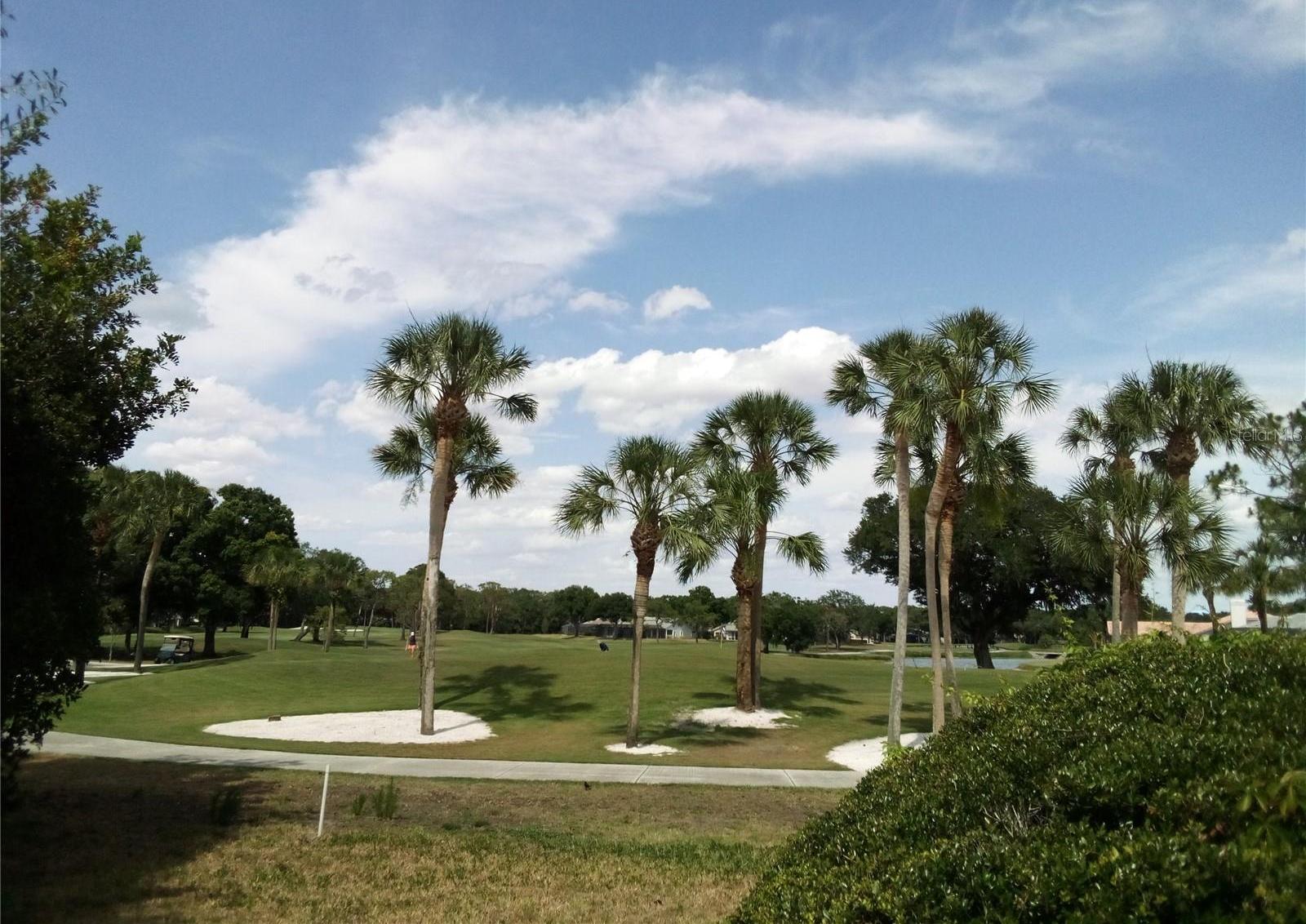 Photo #25