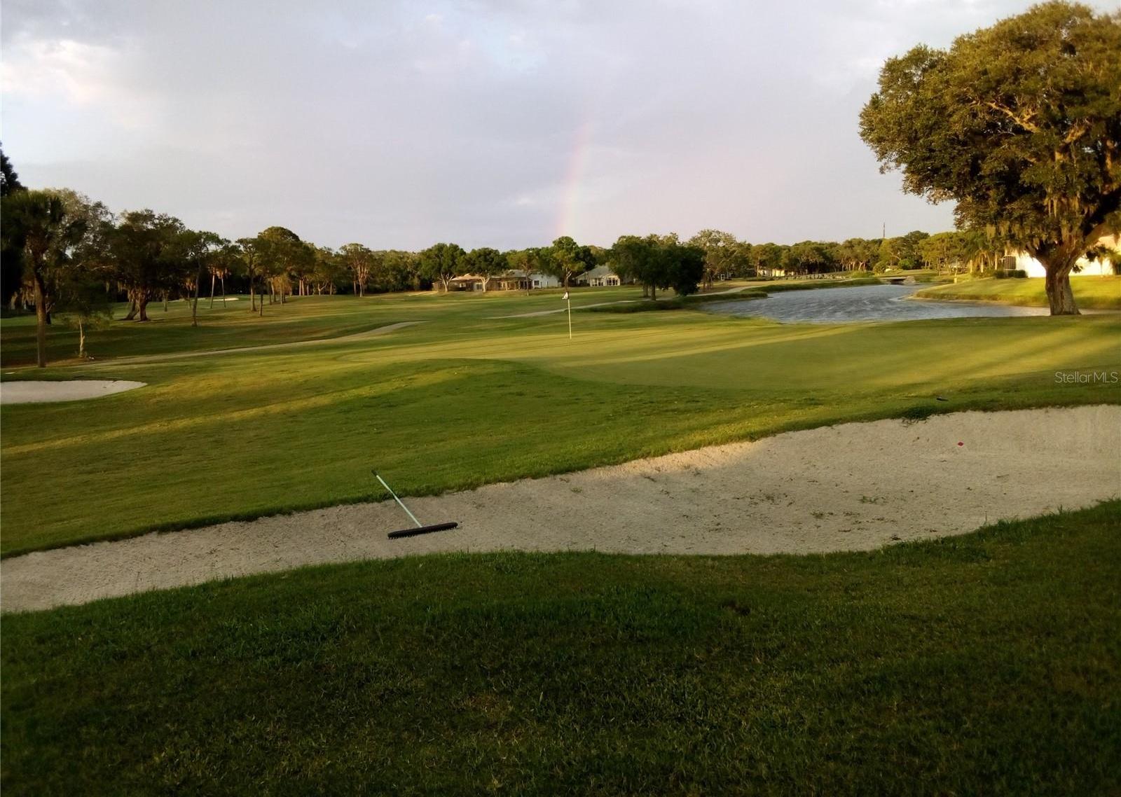 Photo #28