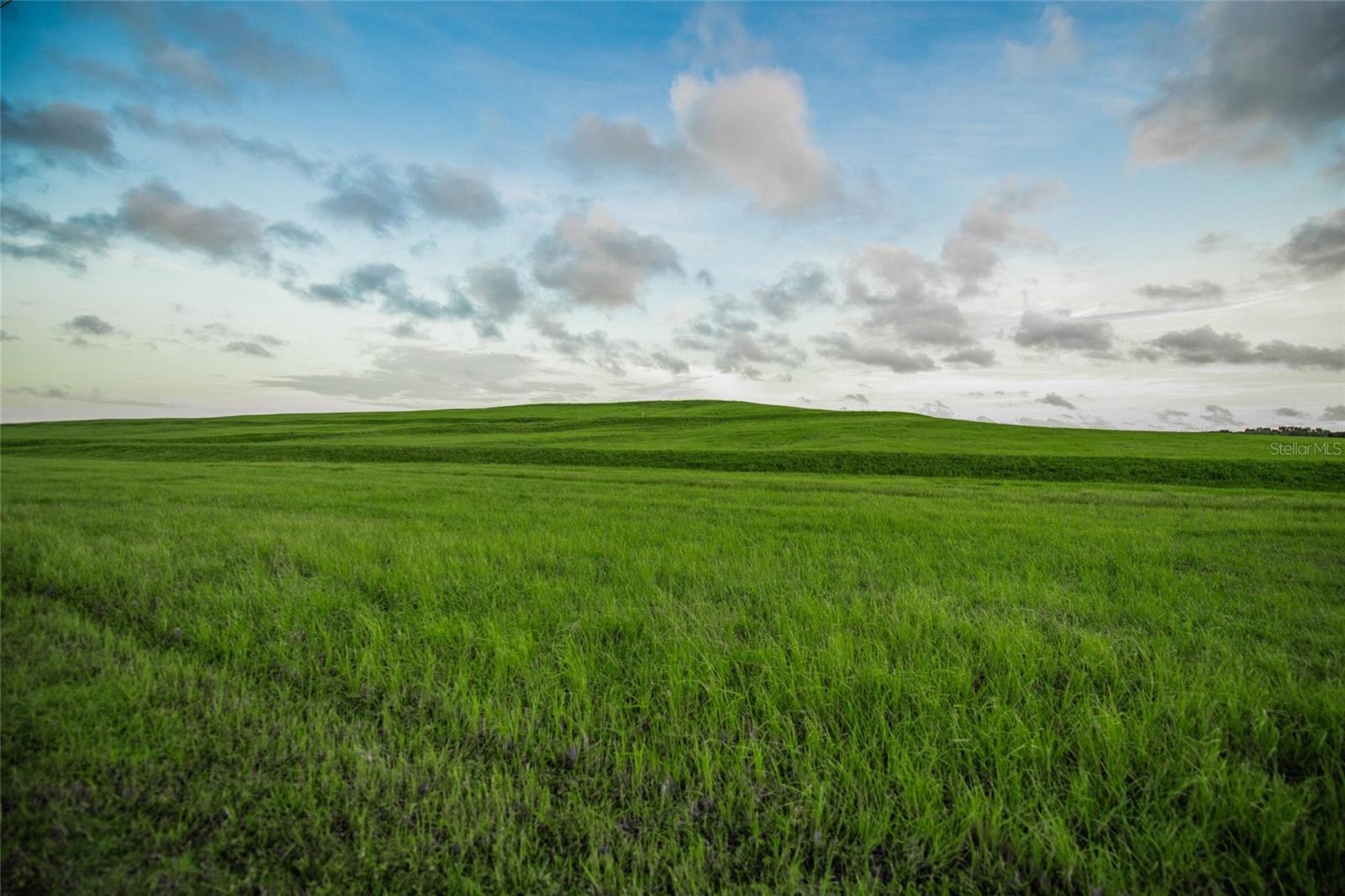 Photo #69