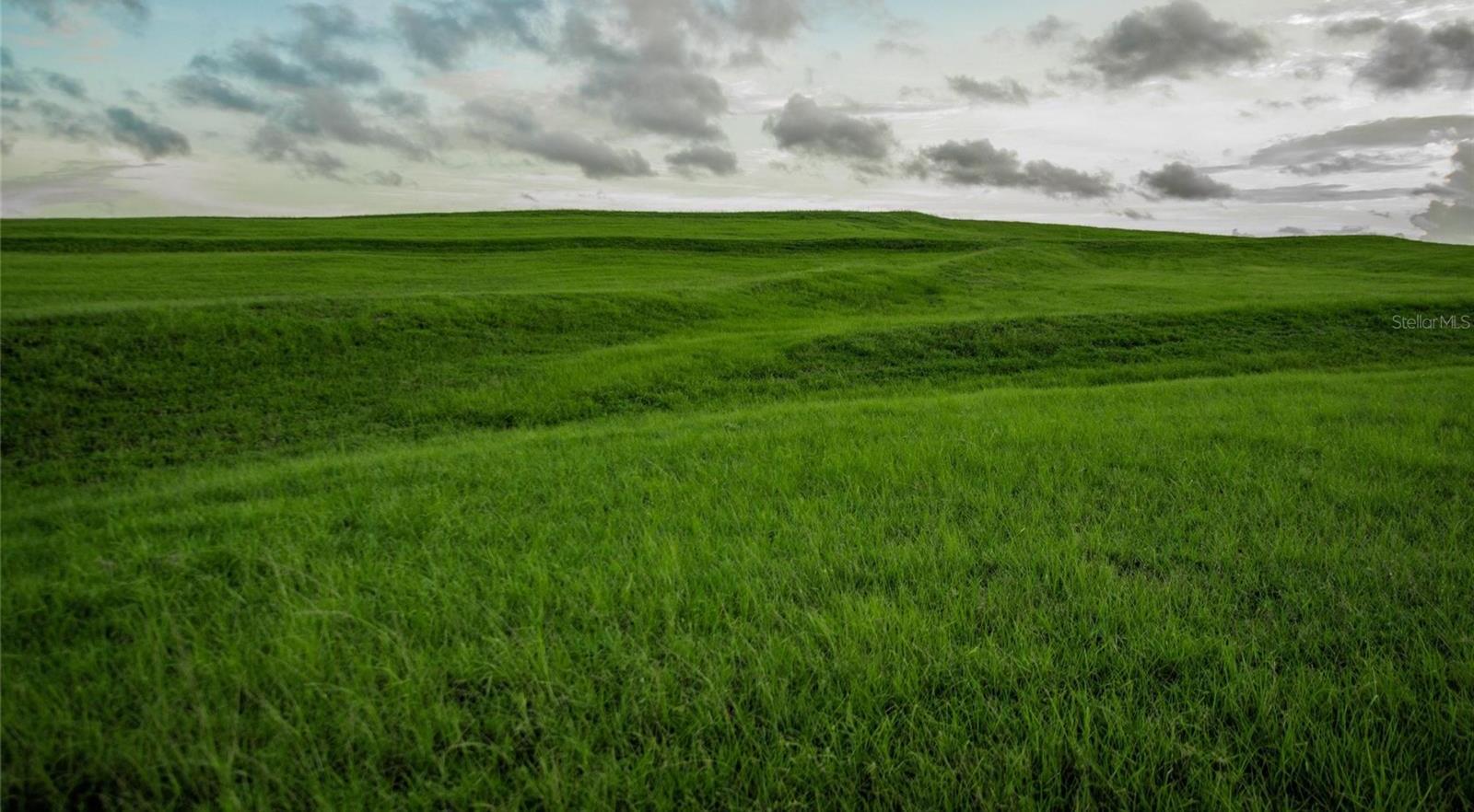 Photo #68