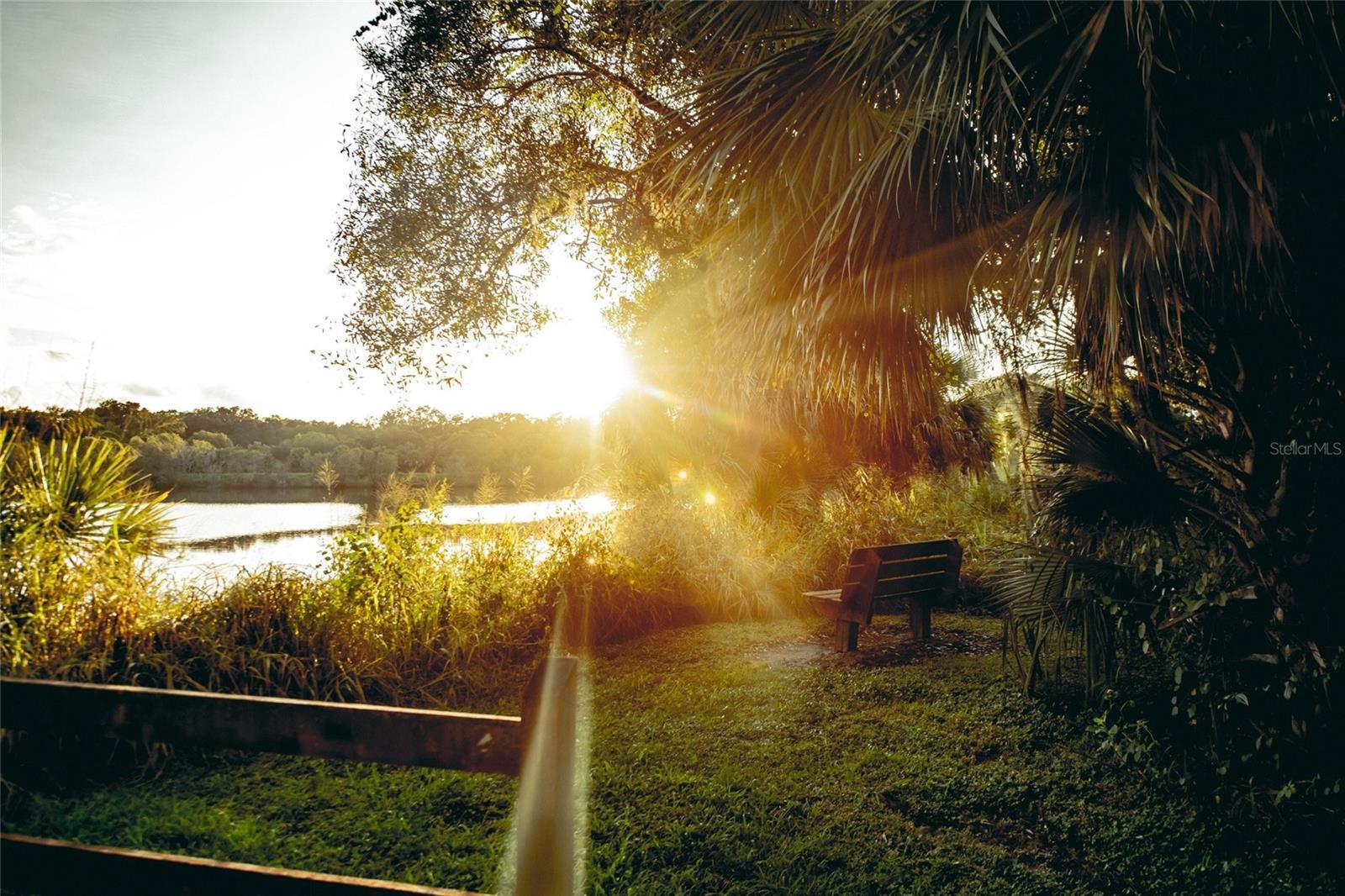 Photo #72