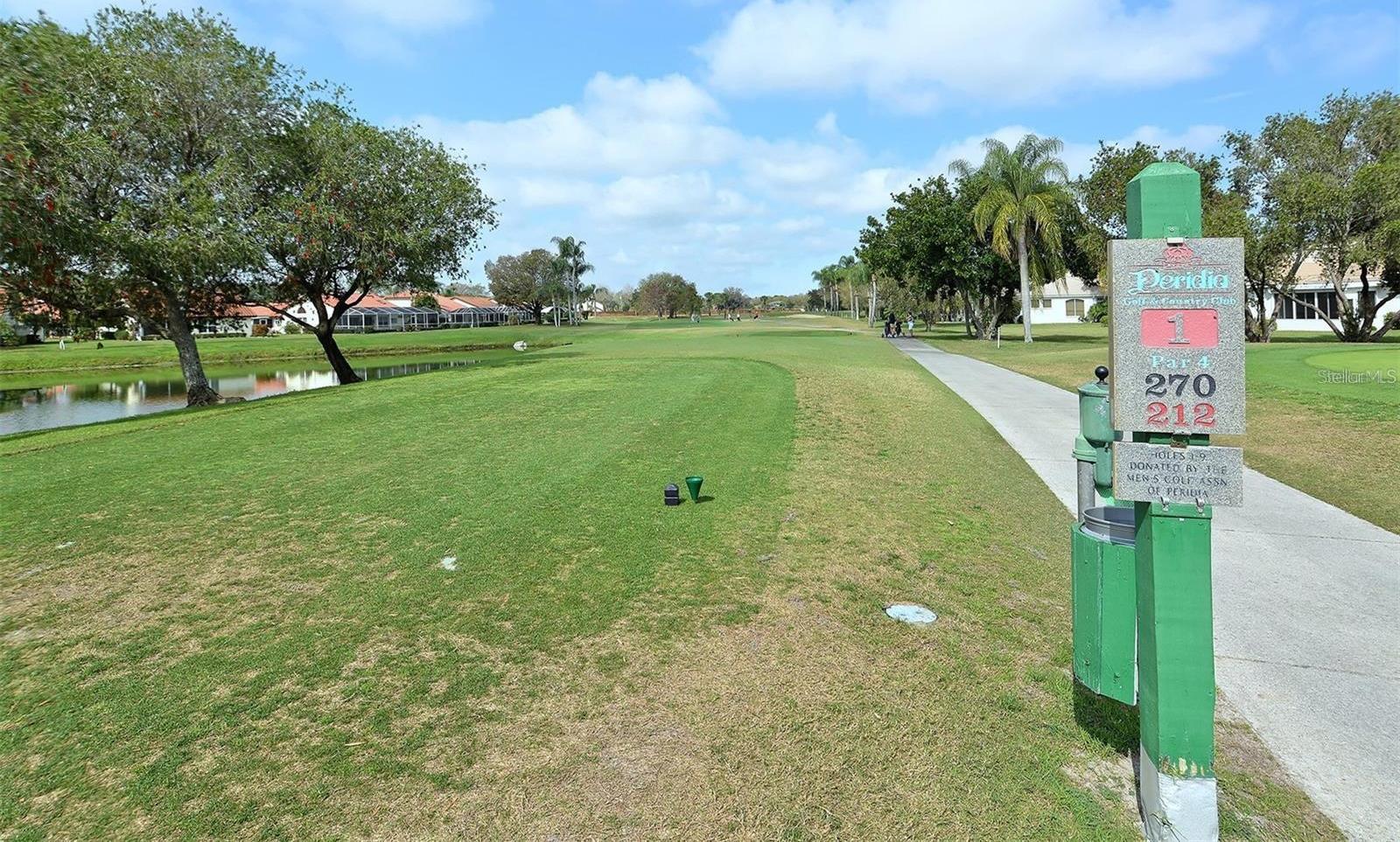 Photo #59