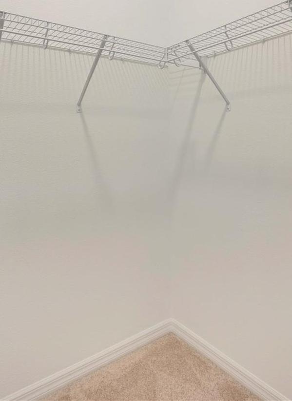 Photo #18