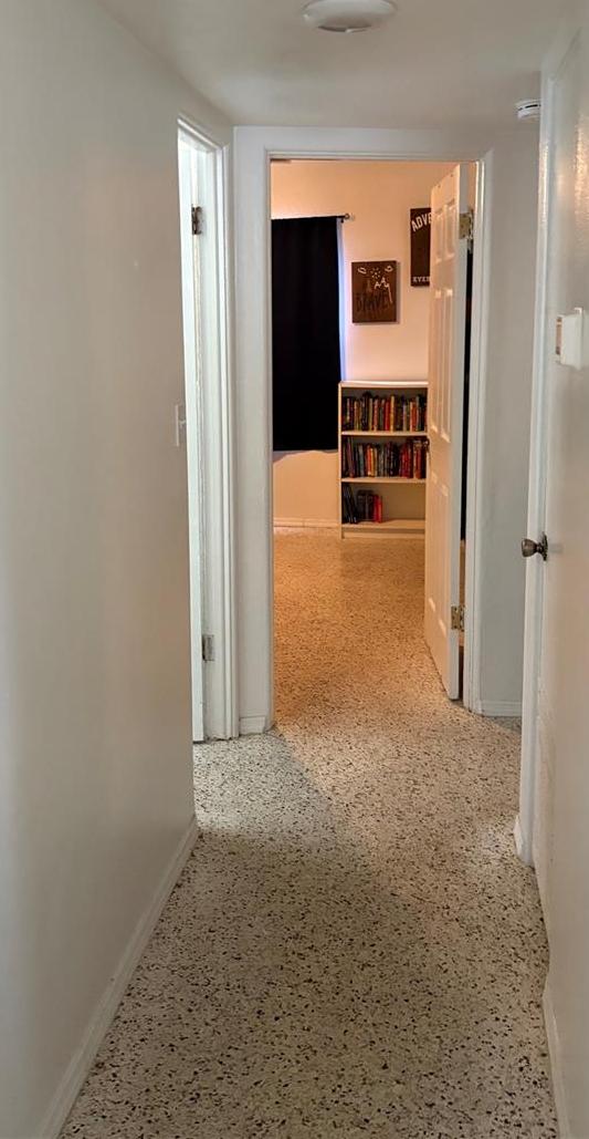 Photo #18