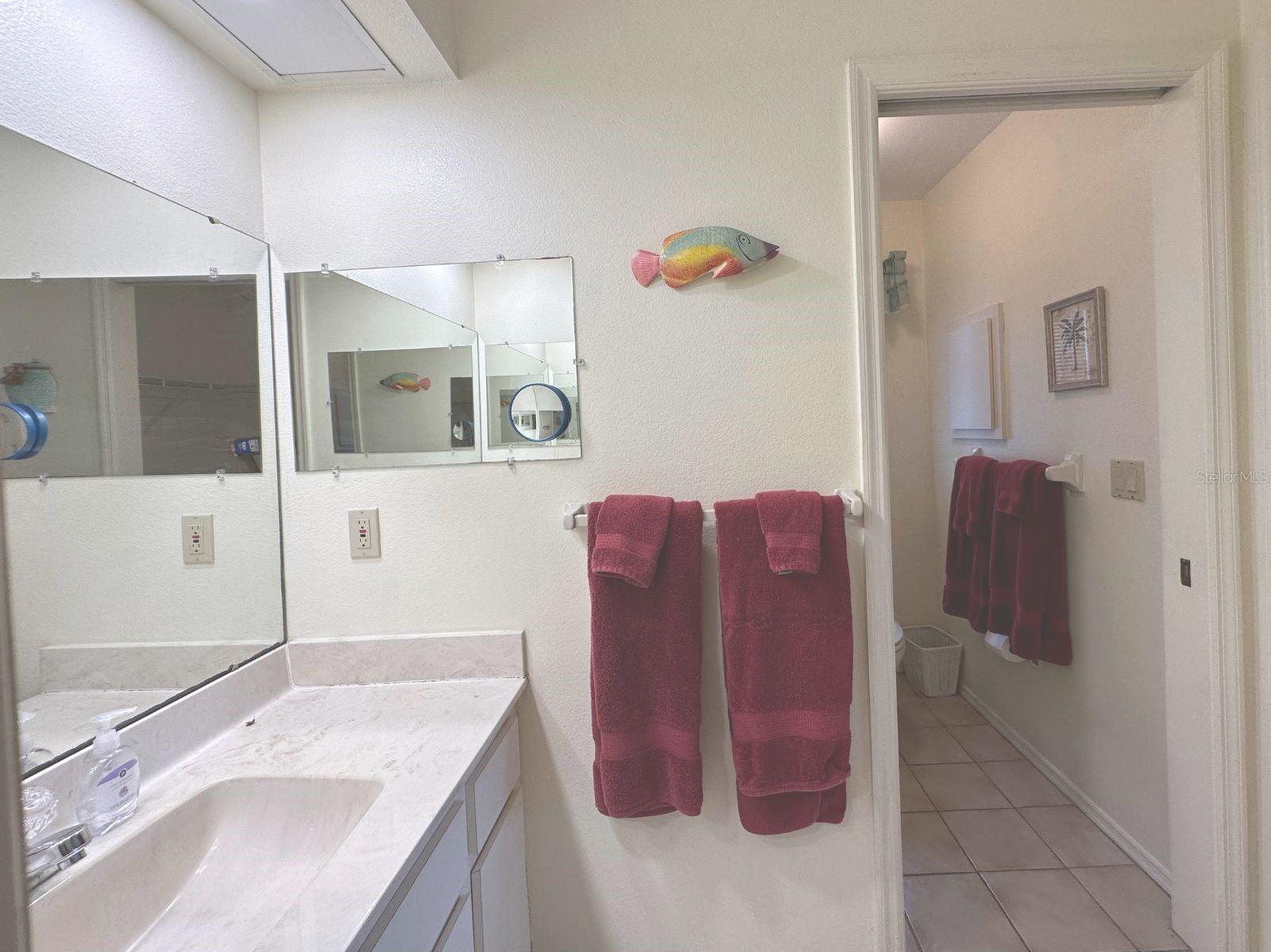 Photo #15